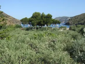 Hotel Cala Joncols - Image 3
