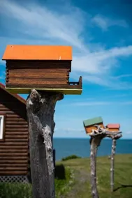 Patty's Beach Chalets - Image 4