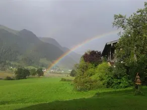 Hinterankerwald - Image 2