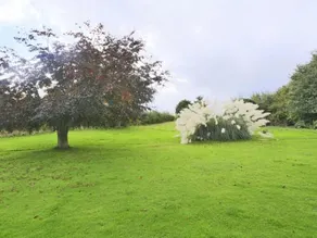 Holiday Home Eelsfoot - Image 3