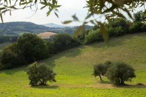 San Rocco Country House - Image 3