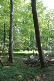 Borup Bed and Breakfast - Image 5