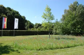 Waldesruh - Image 4