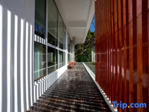 Luoping County Guyang Xiaozhu B&B - Image 2