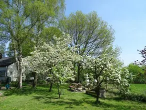B&B Wachtpost 29 - Image 2