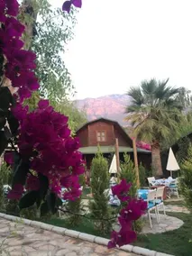 Oba Motel - Image 2