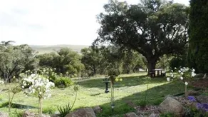 Eden Park Views - Image 4