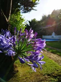 Quinta do Rio Touro - Image 2