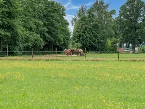 Cosy holiday home near Den Ham with garden - Image 3