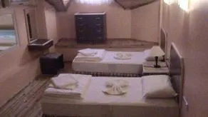 Iguana - Image 1