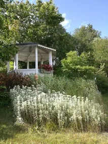 Myller Bed & Breakfast - Image 2