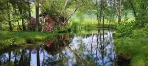 Moorbad Gmoes - Image 4