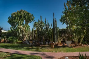 Oasis Beach Hotel - Image 5