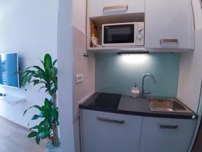 Penthouse Castropola - Image 5