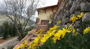 Casa Degli Ulivi - Image 2