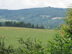 Le Petit Clos - Image 4
