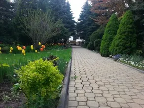 Hotel Jedlina - Image 3