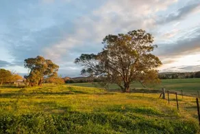 Beaudesert Mudgee - Kanimbla Guesthouse & Beaudesert Cottage - Image 5