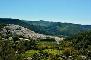 Finca Santa Ana - Image 2