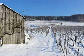 Gite du bas du cru - Image 3