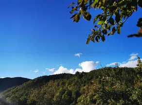 Holiday Home Tomislav - Image 3