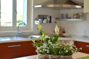 Holiday home Sverko - Image 2