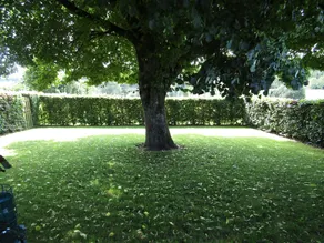 Lovely spot with plenty of outdoor space - Image 5