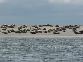Fanø bad Ferielejligheder - Image 4