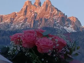 Appartamenti Primiero - Image 3