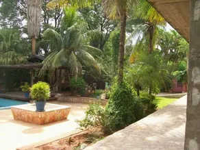 Casa Del Coconut - Image 3