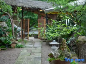 Longquan Hotel and Homestay - Image 2
