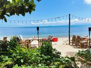 King Busch Reggae Beach - Image 5