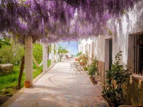 Cortijo Solera - Image 3