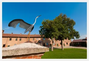 Tenuta Isola - Image 2