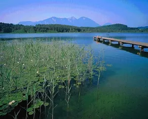 Skorianzhof - Image 4