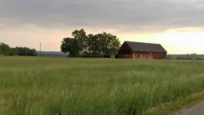 Cozy 2 bed Apartment in the Countryside - Image 4