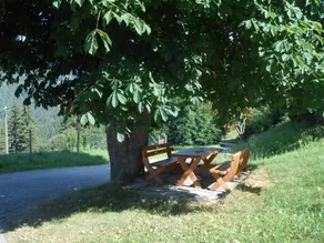 Bauernhof Gaestehaus Unterlaenger- Lass - Image 4