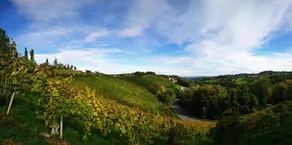 Weingut Winzerzimmer Toso - Image 3