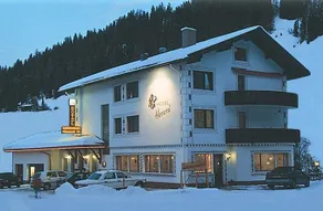 Hemmi - Image 1