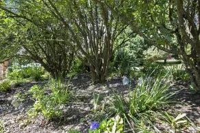 The Maples Bilpin - Image 2