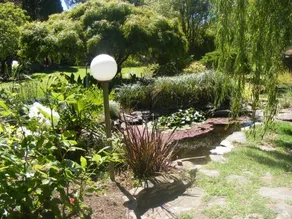 The Lookout - Image 4