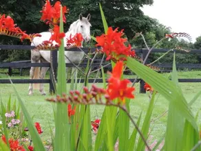 Mount Briscoe Country House - Image 3