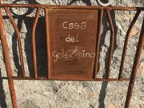 Gelsomino - Image 5