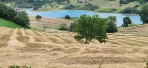 La Corte Sul Lago - Image 2