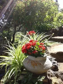 Casa Roberta - Image 3