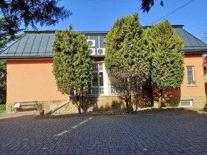 Kikelet Panzio - Image 5