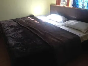 Serene Homestay in Shoghi-Shimla - Image 4