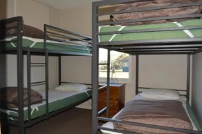Alpine Edge - Image 4