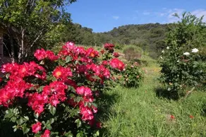 Agriturismo Valcrosa - Image 2