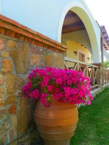 Trikalioti's Estate - Image 4